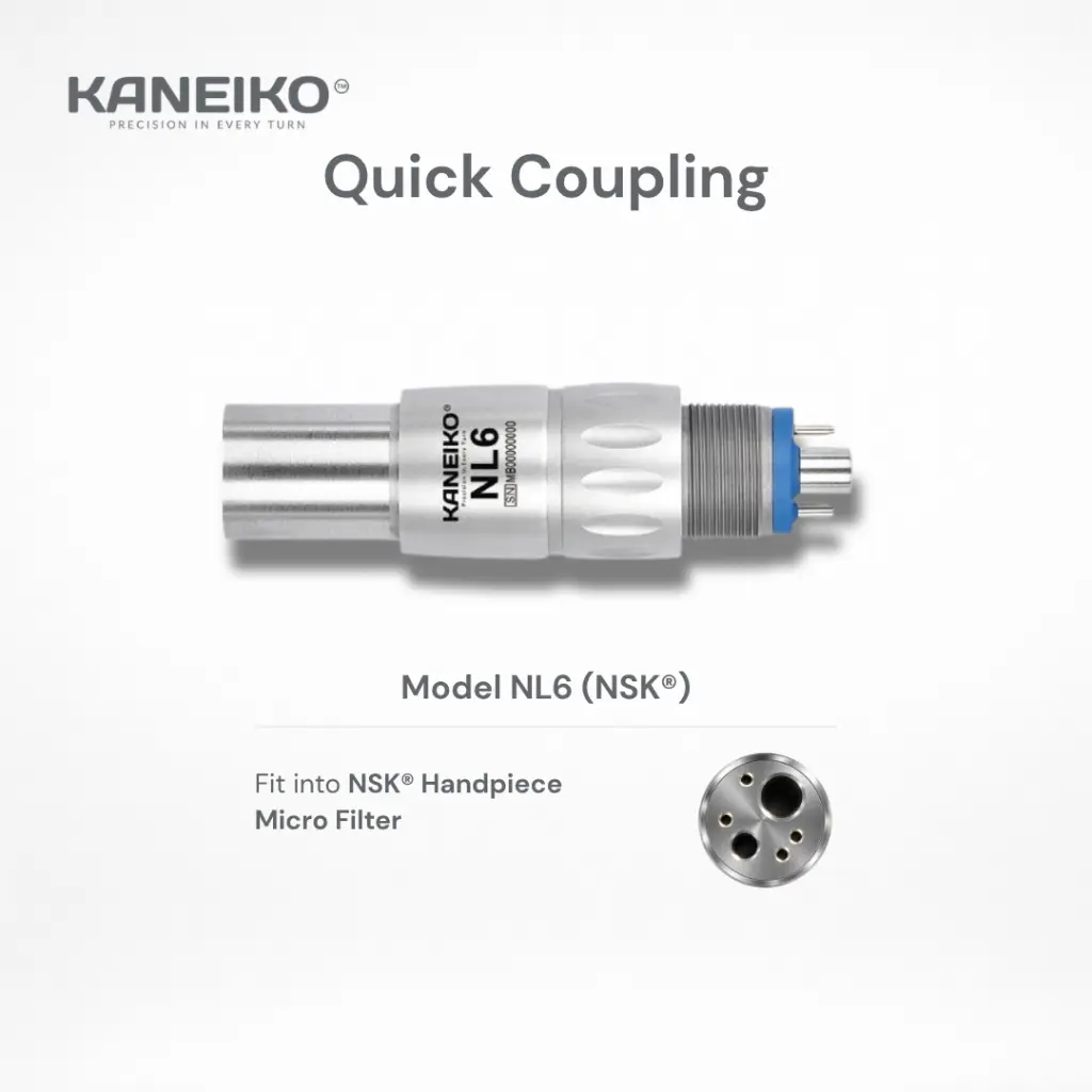 Kaneiko Model NL6 info details.webp