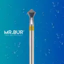 FG COMPOSITE POLISH OF OCCLUSAL SURFACE