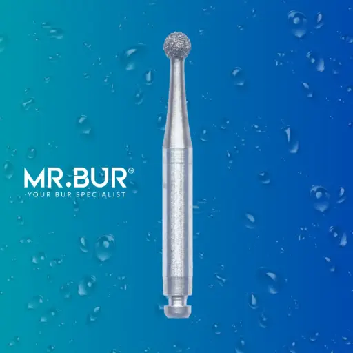 [R801/021] RA DIAMONDS BUR ROUND