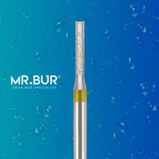 [101SF] 837EF FG.010