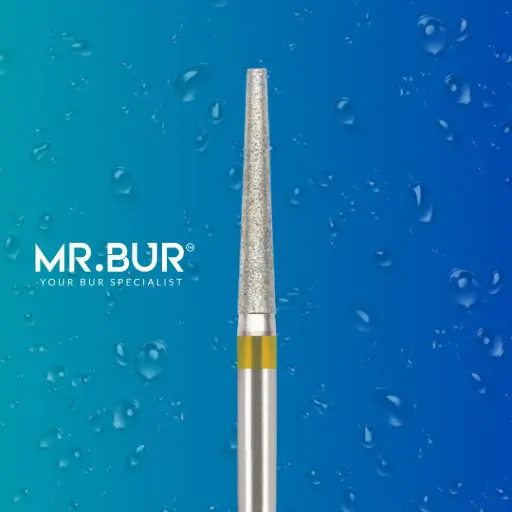 [29CSF] 848EF FG.016