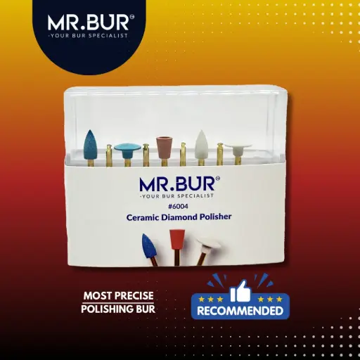 [#6004] DIAMOND POLISHER WHEELS