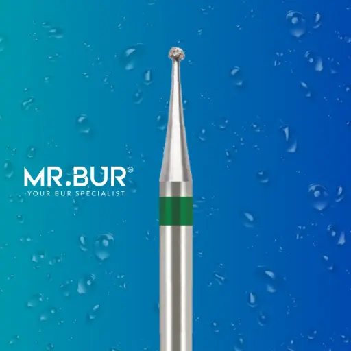 [801/06] FG ROUND BUR