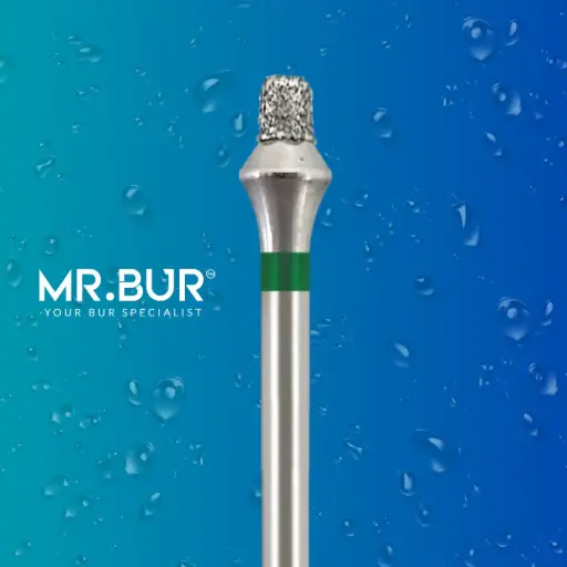 [DP15] VENEER PRE BUR