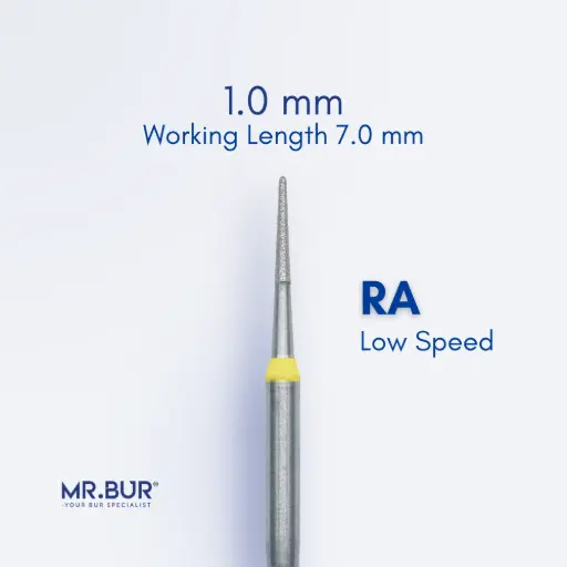 [RASF856/10] ROOT PLANING / SUBGINGIVAL SCALING